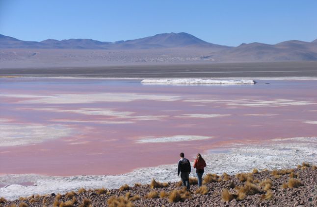 Noord Chili Bolivia en Argentinie Afbeelding