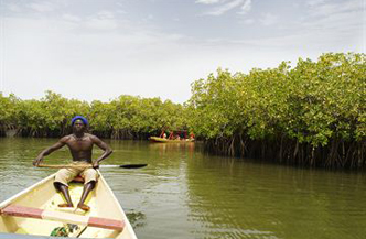8 daagse rondreis The best of Gambia met een vleugje Senegal Afbeelding