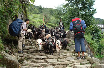 17daagse rondreis Hoogtepunten van Nepal 2