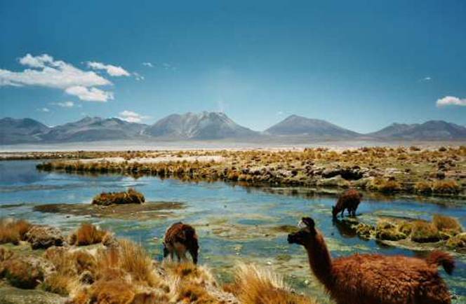 Noord Argentinie en Chili 14 daagse rondreis