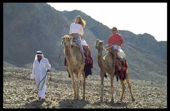 8 dagen 4 sterren Jeep safari Sinai Inclusief excursies 0