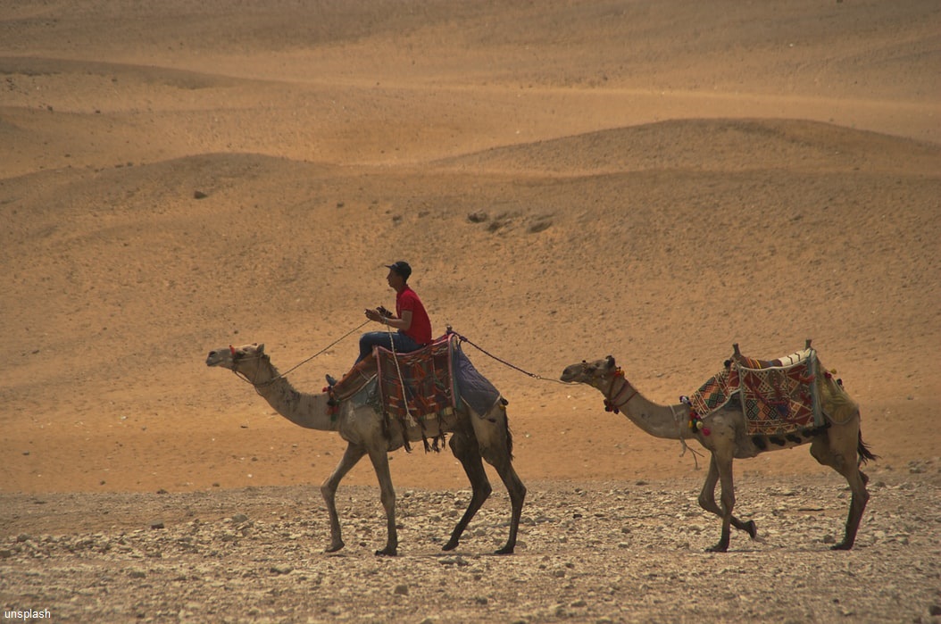 8 dagen 4 sterren Jeep safari Sinai Inclusief excursies Afbeelding