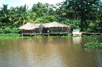Rondreis Orinoco Delta met  Flamboyant Afbeelding
