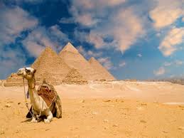 Anubis Langs piramides en oases Afbeelding
