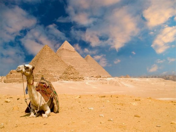 Sahara Langs Tempels en Oases Afbeelding