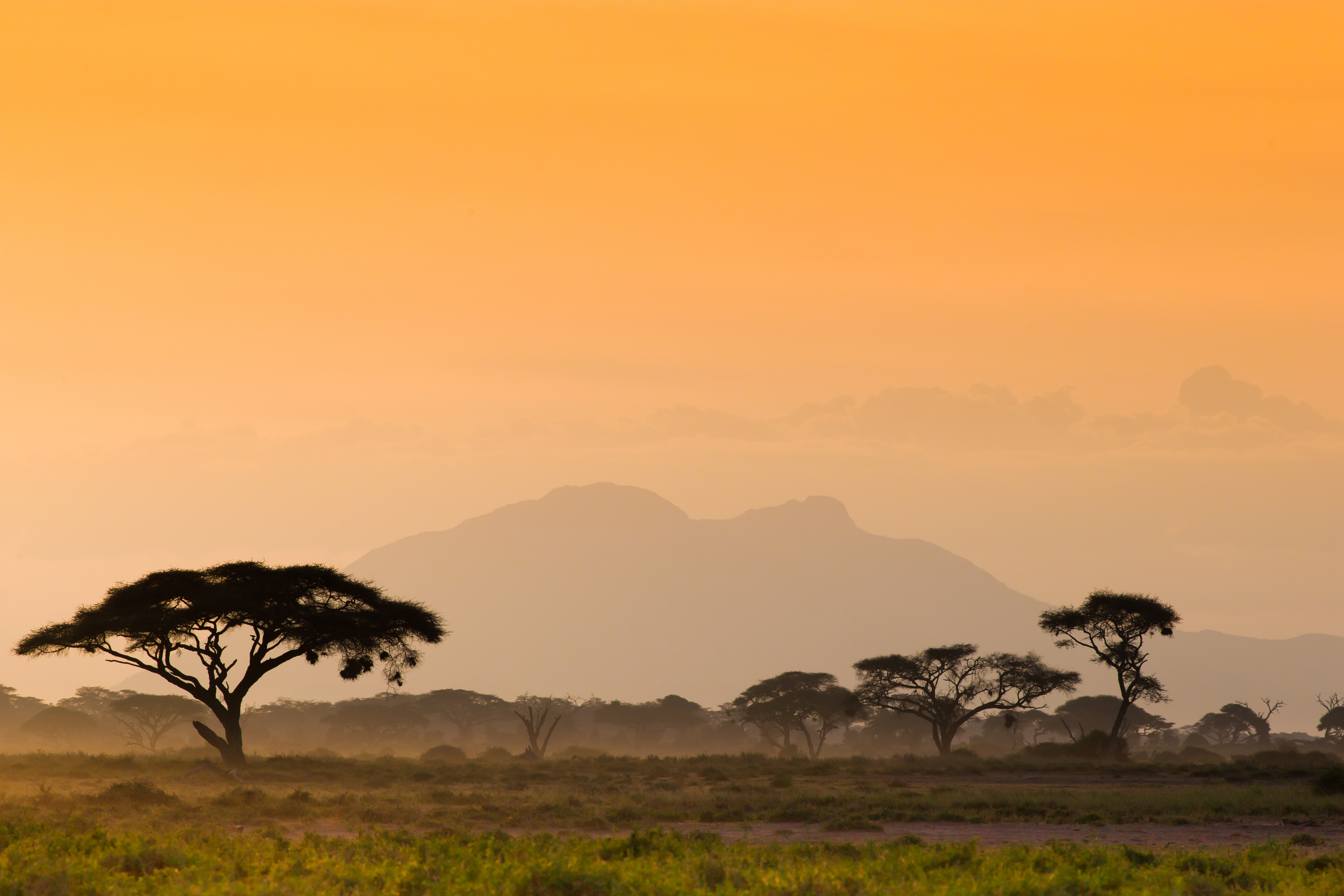Kenya Adventure Afbeelding