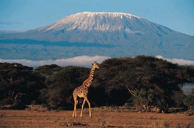 Serengeti en Kilimanjaro 2