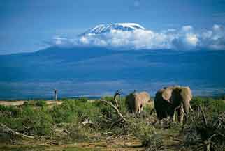 Kenya Highlights Safari 4