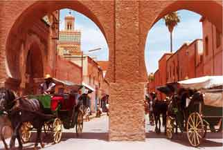 Zien en Zon Marrakech en haar valleien 1