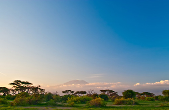 9dgn Safari Best of Kenia 2