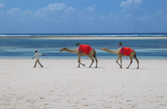 16 dagen inclusief 4 daagse Safari Mombasa Rendez Vous met Southern Palms Beach Afbeelding
