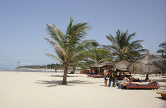 9dgn rondreis Best of Gambia 3
